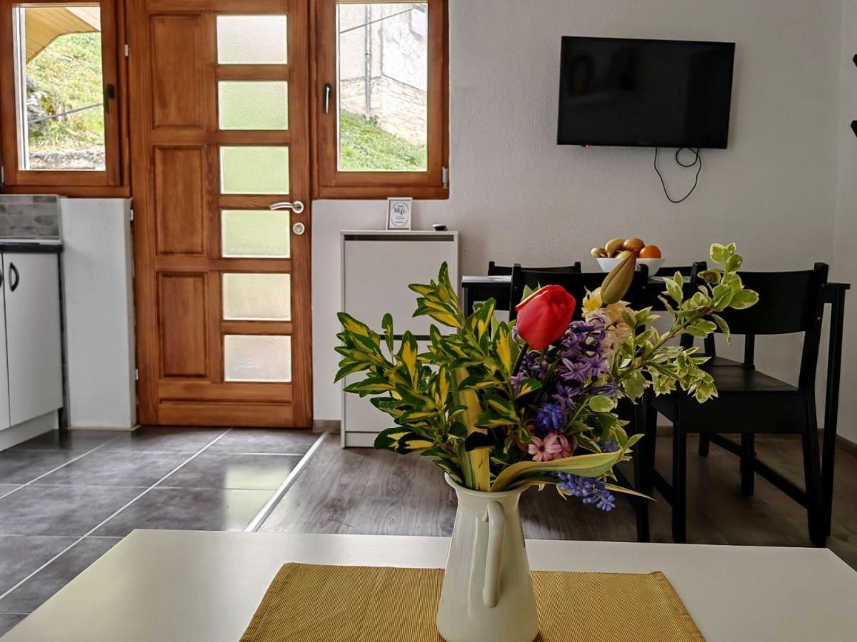 Ive Andrica 3 Apartment วิเชกราด ภายนอก รูปภาพ